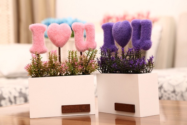 Chậu cây I love u